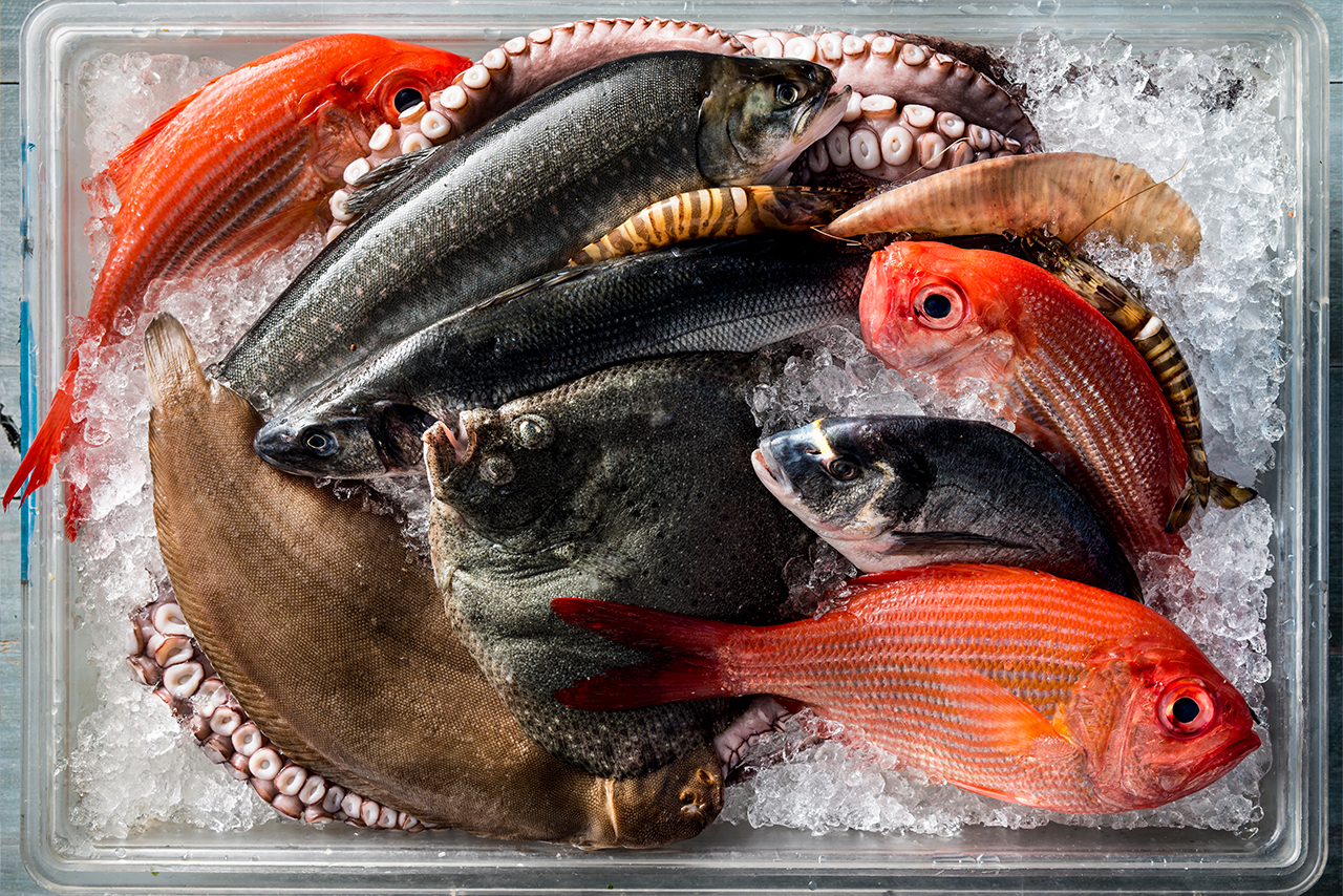 Various Fresh fish on ice